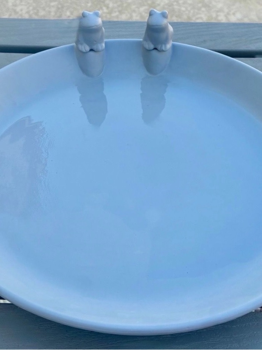 Hand-painted Light Blue ALDI Belavi Ceramic Bird Drinking Trough - Picture 1 of 7